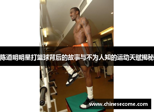 陈道明明星打篮球背后的故事与不为人知的运动天赋揭秘