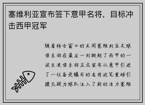 塞维利亚宣布签下意甲名将，目标冲击西甲冠军