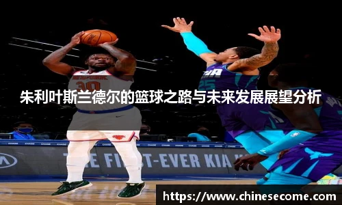 朱利叶斯兰德尔的篮球之路与未来发展展望分析